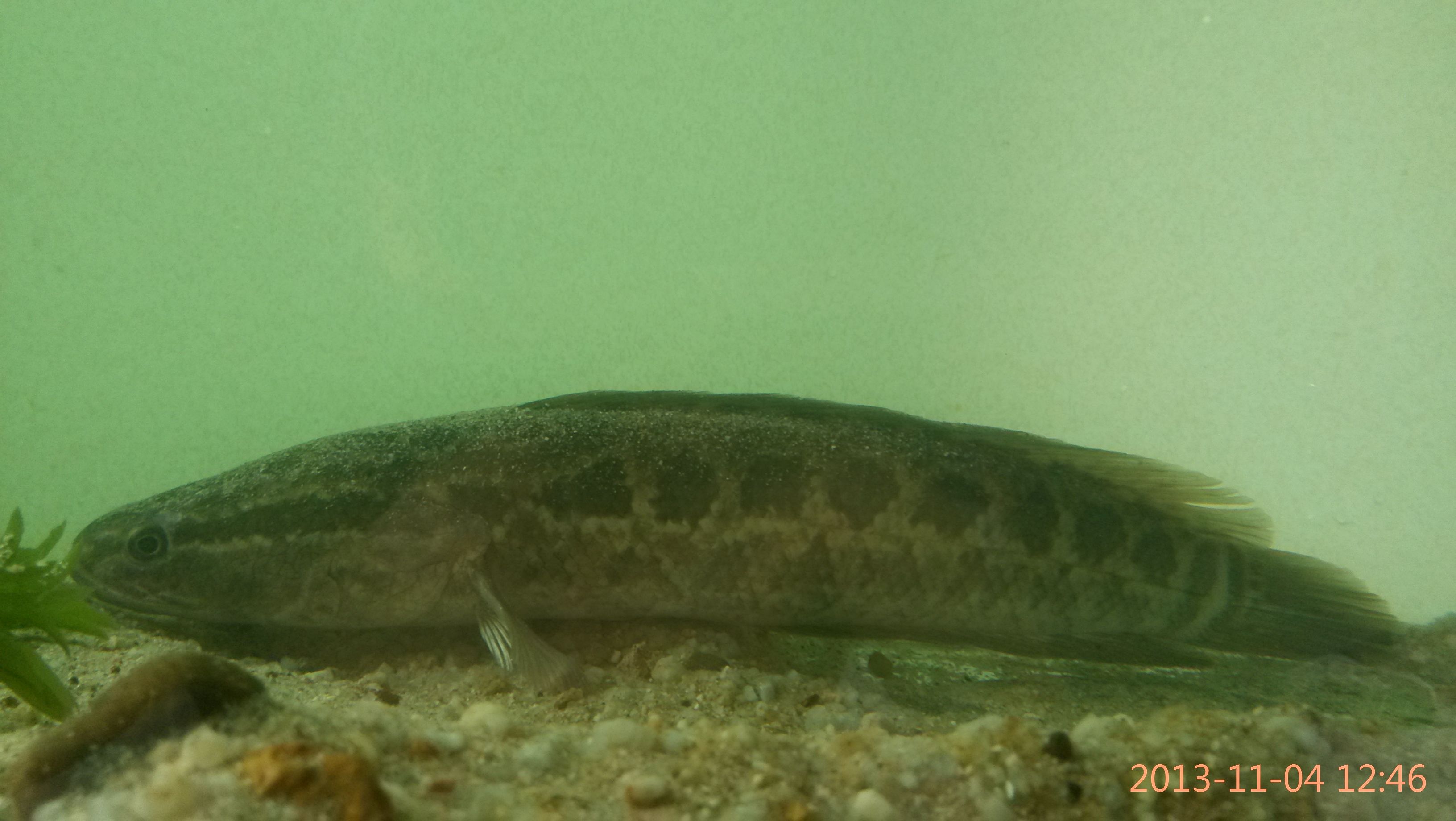 鮭腦$釫?X?0騜圥;?僉'拞?^妑?%s+猇俺?OG?zm|?{?膃|)??qVス凭篩鳎絊屵?Nt茦:;惣cR的简单介绍-竞技宝登录