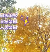 闇囨棪308pd-竞技宝网址